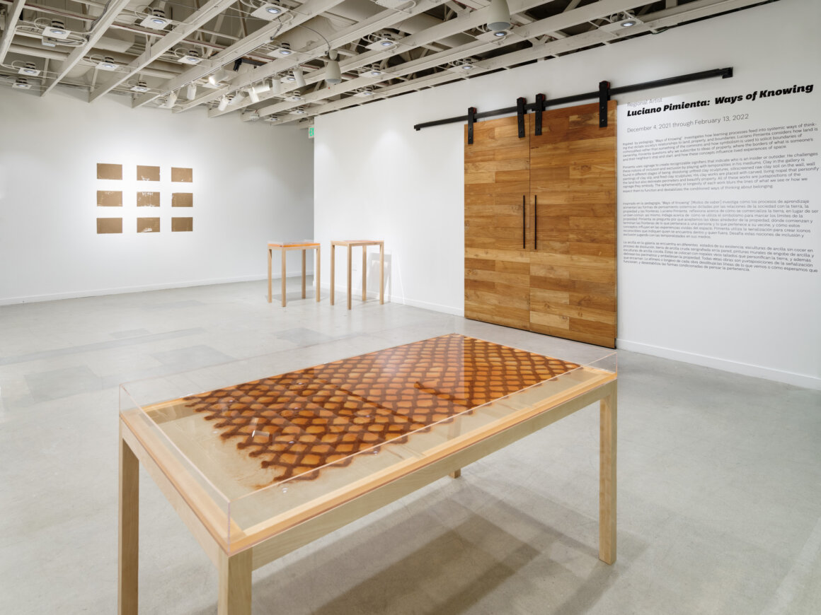 Luciano Pimienta: Ways Of Knowing: ICA San Diego visit museums in Encinitas