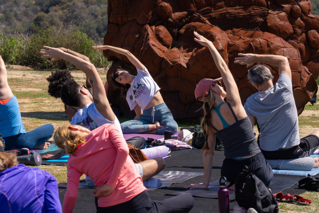 Dsc Enhanced Nr Dsc Enhanced Nr